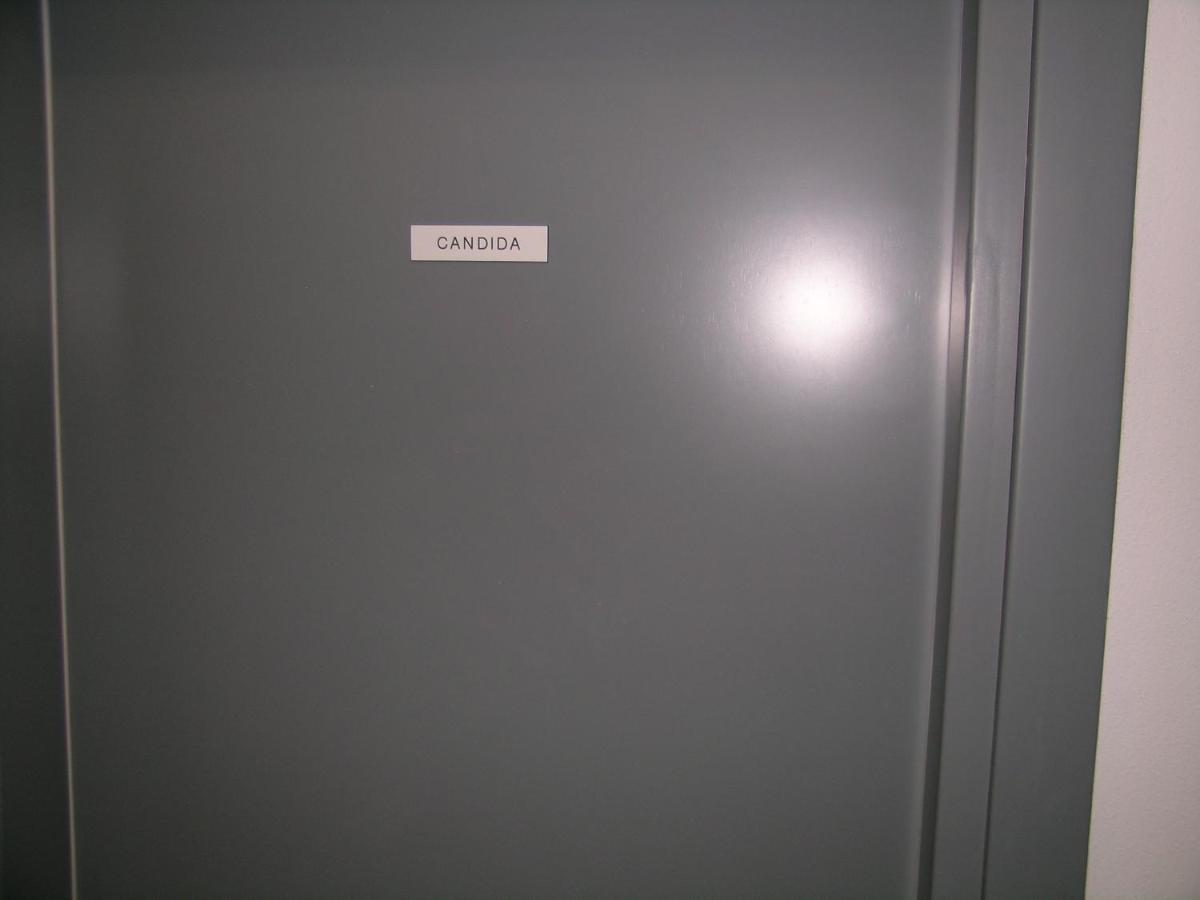 Camera Con Bagno Privato Candida La Spezia Exteriér fotografie